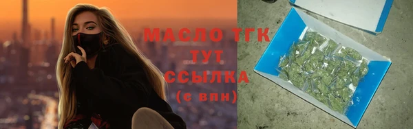 молекула духа Осташков