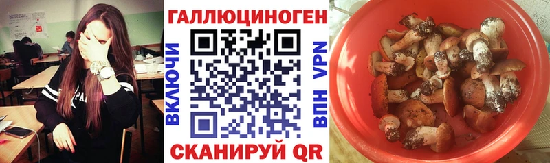 Купить где  Норильск  Галлюциногенные грибы прущие грибы 